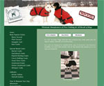 pittsburgh website design - dynamic
